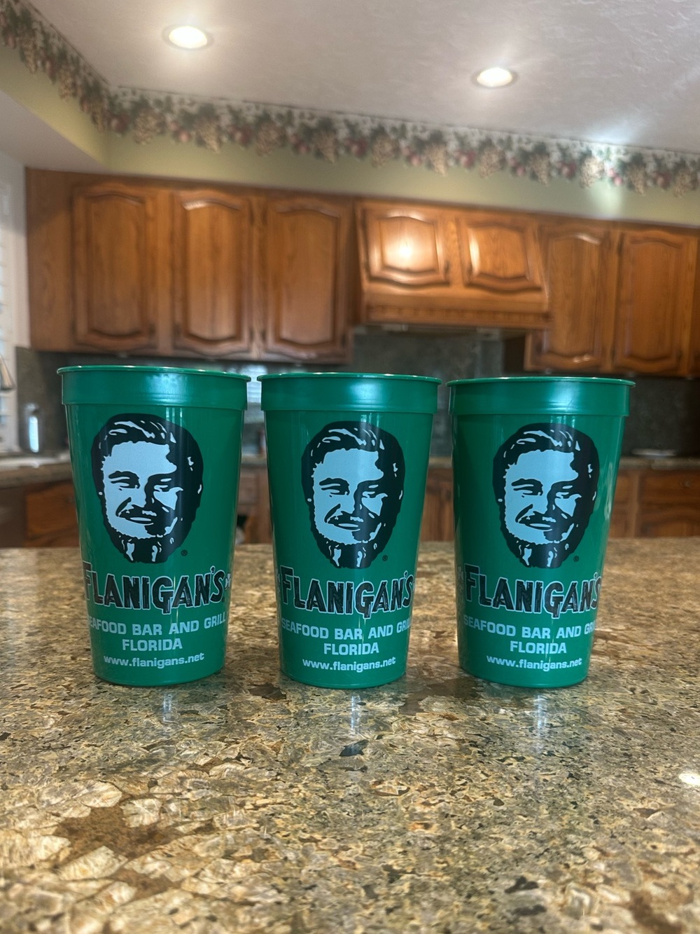 Set of 3 Flanigan’s Florida Reusable Green Plastic Cups Seafood Bar & Grill So